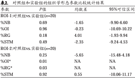 骨替代材料