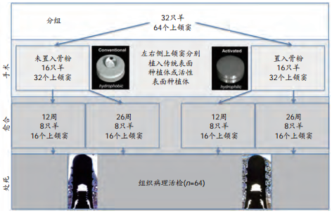 上颌窦提升