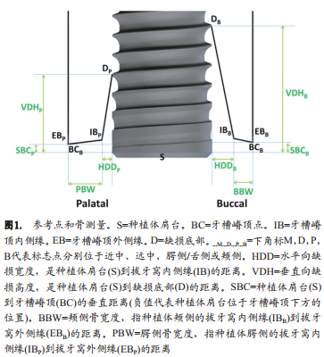 即刻种植(1型)和早期种植(2型)的美学效果、临床效果及以患者为中心的效果