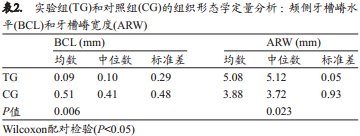 不翻瓣牙槽嵴位点保存术中是否移植异种骨对颊侧骨嵴改建的影响的组织形态学定量分析和显微CT成像研究